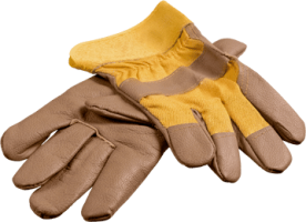 gloves-1.png